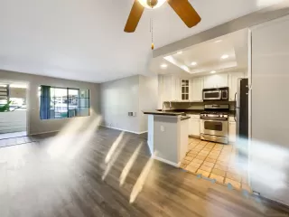 Photo #4: 220013362 Listing 