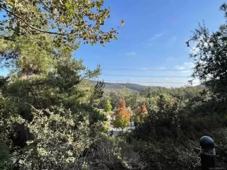 Photo #4: 220025540 Listing 