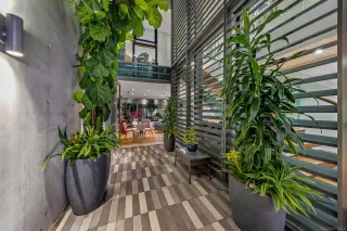 Photo #1: 220025606 Listing