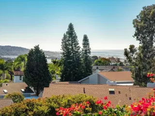 Photo #3: 220025661 Listing 