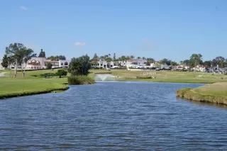 Photo #1: 220027156 Listing