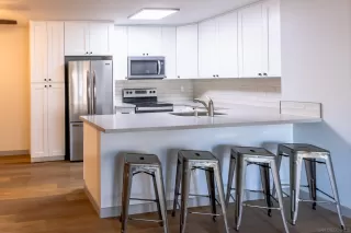 Photo #1: 220027702 Listing 