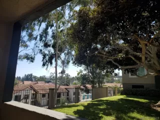 Photo #2: 220028230 Listing