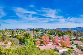 Photo #2: 220029146 Listing