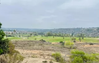 Photo #1: 220029495 Listing