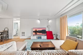 Photo #1: 220029600 Listing