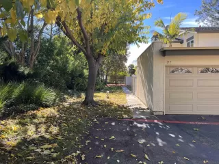 Photo #3: 220029903 Listing