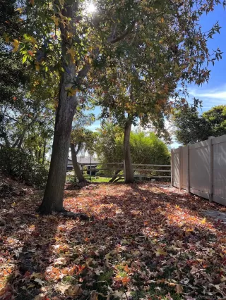 Photo #4: 220029903 Listing