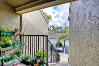 Photo #2: 220030188 Listing 