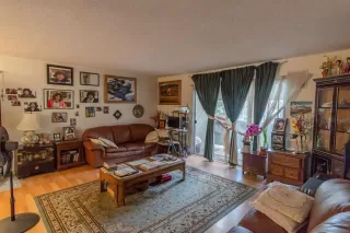 Photo #1: 230000308 Listing