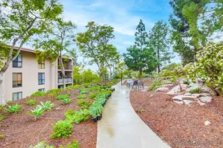 Photo #1: 230000351 Listing