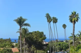 Photo #5: 230000398 Listing