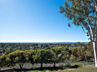 Photo #2: 230000513 Listing 