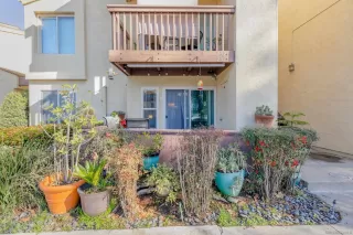 Photo #2: 230000781 Listing