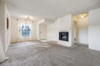 Photo #5: 230000851 Listing 