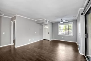 Photo #5: 230000923 Listing