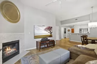 Photo #6: 230000945 Listing