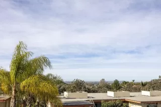 Photo #1: 230000977 Listing