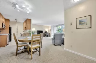 Photo #1: 230001055 Listing