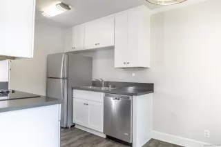 Photo #1: 230001141 Listing 