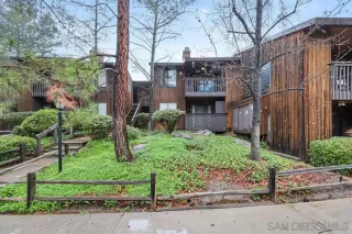 Photo #1: 230001153 Listing