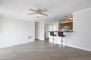 Photo #2: 230001278 Listing