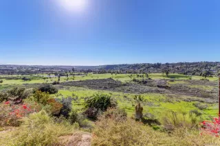 Photo #1: 230001632 Listing