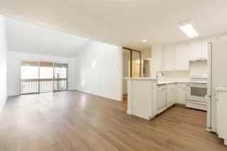 Photo #1: 230001677 Listing