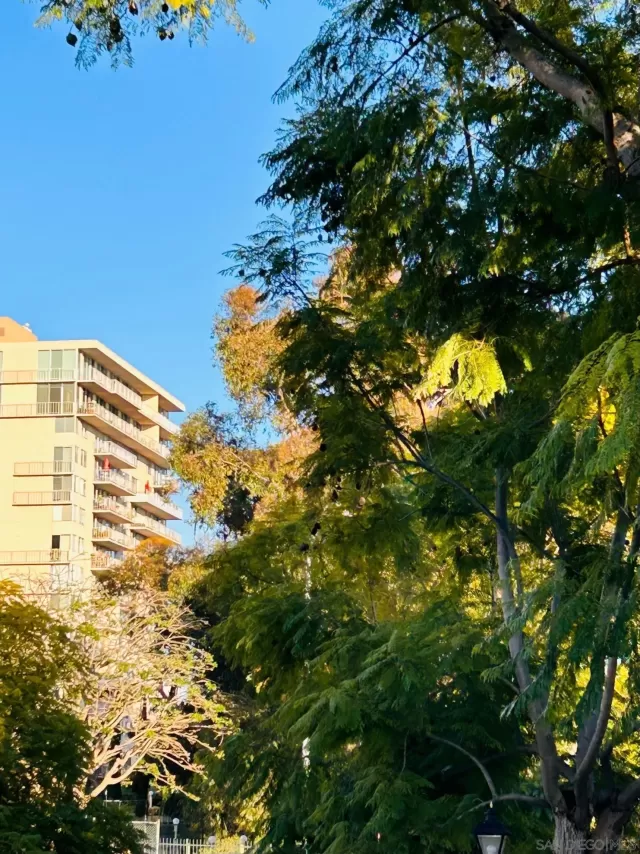 MLS: 230002138 Condo For Sale