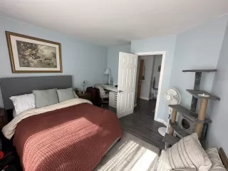 Photo #1: 230002205 Listing