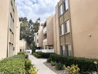 Photo #1: 230002236 Listing 