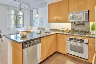 Photo #1: 230002502 Listing