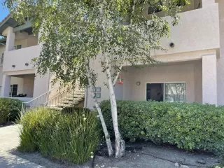 Photo #1: 230002529 Listing