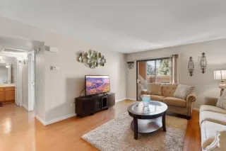 Photo #1: 230002617 Listing