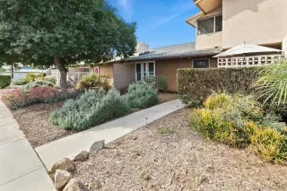 Photo #1: 230002626 Listing