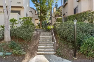 Photo #3: 230002666 Listing