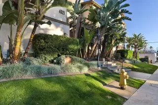 Photo #2: 230002741 Listing