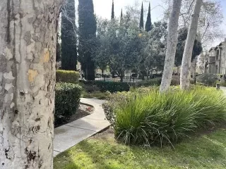 Photo #5: 230003286 Listing