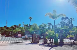 Photo #1: 230003391 Listing