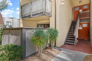 Photo #1: 230003534 Listing