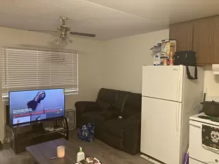 Photo #4: 230003567 Listing 