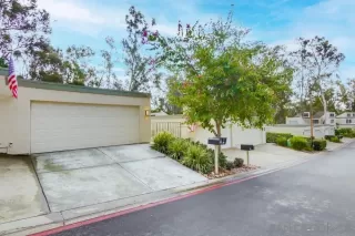 Photo #1: 230003595 Listing