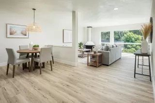 Photo #1: 230003660 Listing 