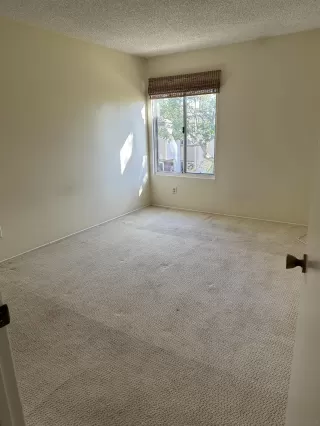 Photo #1: 230003741 Listing 