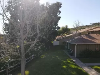 Photo #3: 230003771 Listing