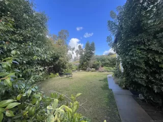 Photo #4: 230003823 Listing