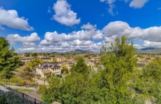 Photo #6: 230004030 Listing 