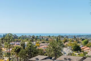 Photo #1: 230004113 Listing