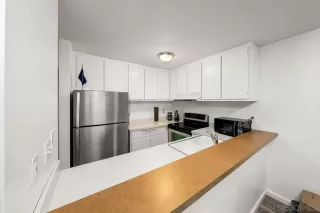 Photo #1: 230004119 Listing