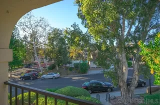 Photo #2: 230004427 Listing